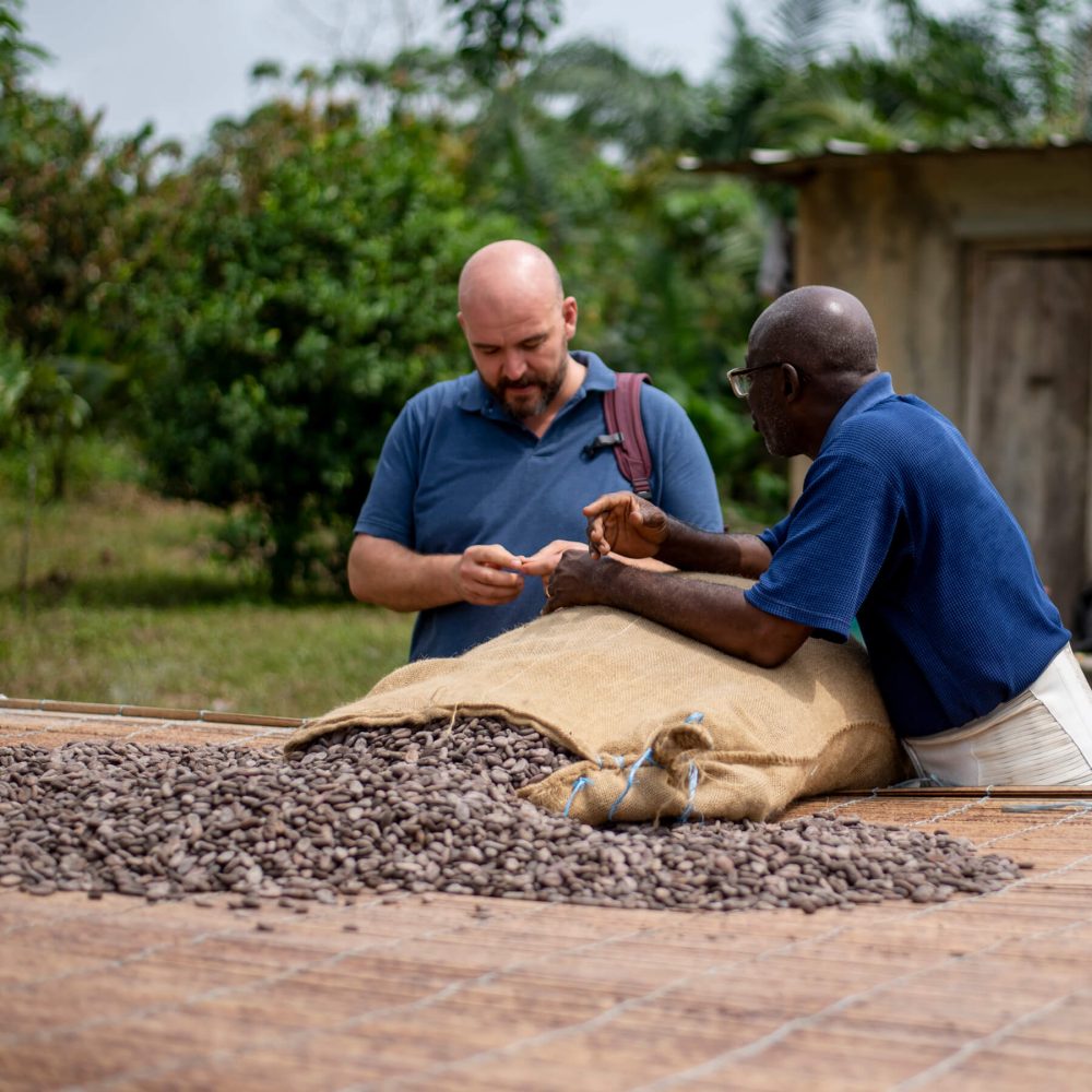 Sacco cacao